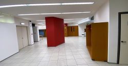 Centro Convegni Arredato Centro Convegni Arredato