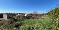 Terreno edificabile a Moruzzo Terreno edificabile a Moruzzo